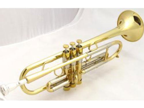 金音小号E100