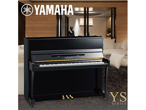 YS1